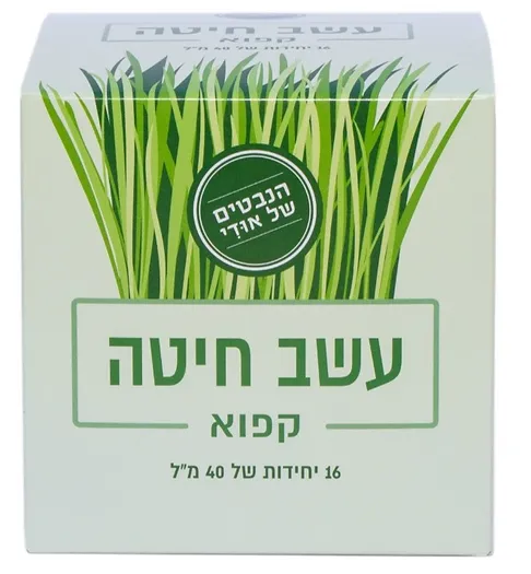עשב חיטה קפוא - Berryfairy